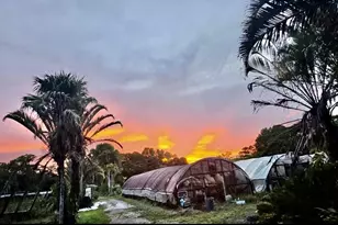 3730 161st Terrace N, Loxahatchee, FL 33470 - Photo 22