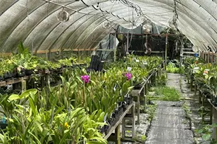 3730 161st Terrace N, Loxahatchee, FL 33470 - Photo 6