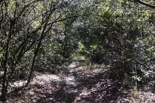 0 Oregon St, Interlachen, FL 32148 - Photo 2