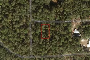 213 Kansas St, Satsuma, FL 32189 - Photo 2