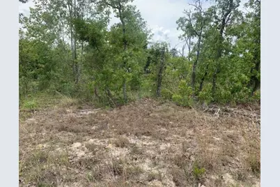 0  Monroe St, Interlachen, FL 32148 - Photo 1