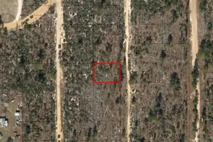 0 Manatee St, Interlachen, FL 32148 - Photo 2