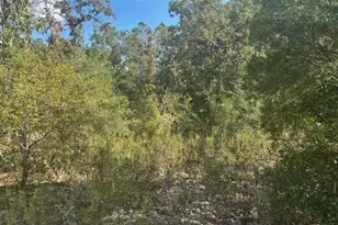 0 Nezperce Dr, Alford, FL 32420 - Photo 2