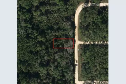 0  Ida Blvd, Interlachen, FL 32148 - Photo 2