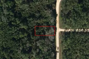 0 Ida Blvd, Interlachen, FL 32148 - Photo 2