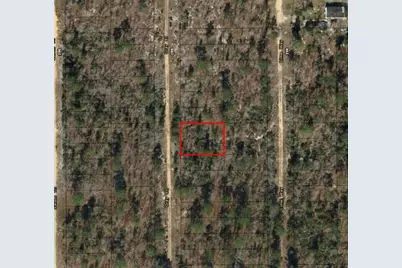 0  Gray St, Interlachen, FL 32148 - Photo 2