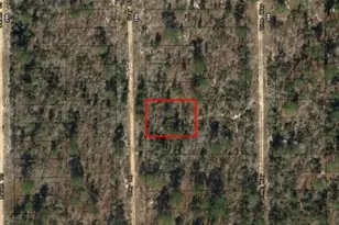 0 Gray St, Interlachen, FL 32148 - Photo 2