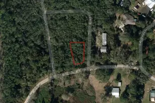 0 Lakeshore Terrace, Interlachen, FL 32148 - Photo 2