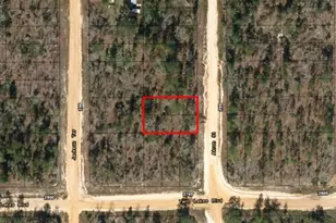 0 Akron St, Interlachen, FL 32148 - Photo 2