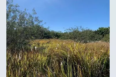 0 SW Ginryo Rd, Palm Bay, FL 32908 - Photo 2