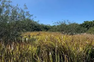 0 SW Ginryo Rd, Palm Bay, FL 32908 - Photo 2