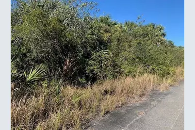 0 SW Ginryo Rd, Palm Bay, FL 32908 - Photo 1