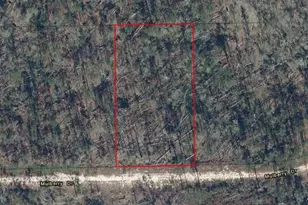 0 Mulberry Dr, Marianna, FL 32448 - Photo 4