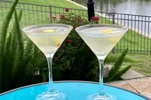 144 Cochise Ct, Palm Coast, FL 32137 - Photo 84