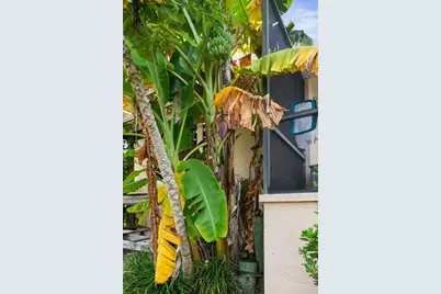 144  Cochise Ct, Palm Coast, FL 32137 - Photo 86