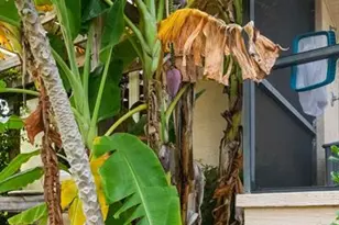 144 Cochise Ct, Palm Coast, FL 32137 - Photo 86