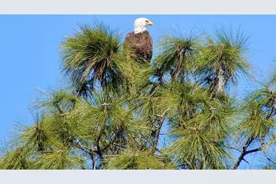 144  Cochise Ct, Palm Coast, FL 32137 - Photo 74