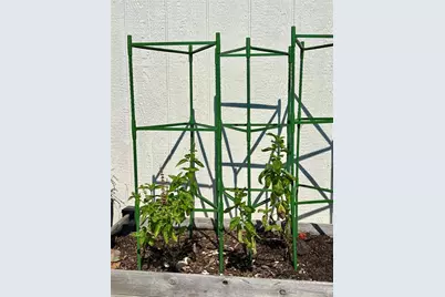 144  Cochise Ct, Palm Coast, FL 32137 - Photo 88