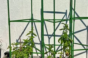 144 Cochise Ct, Palm Coast, FL 32137 - Photo 88