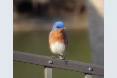 144  Cochise Ct, Palm Coast, FL 32137 - Photo 70