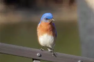 144 Cochise Ct, Palm Coast, FL 32137 - Photo 70