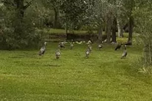 32801 Hwy 441 N Lot 154, Okeechobee, FL 34972 - Photo 30