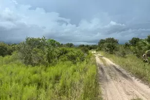 0 NW 316th St, Okeechobee, FL 34972 - Photo 2