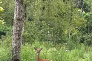 Lot 36 SW Bumble St, Fort White, FL 32038 - Photo 2