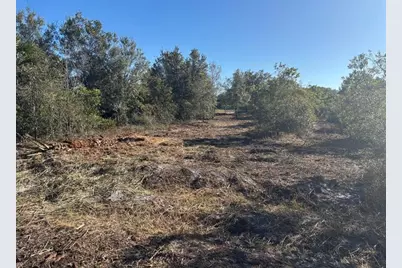 0 NW 296th St, Okeechobee, FL 34972 - Photo 6