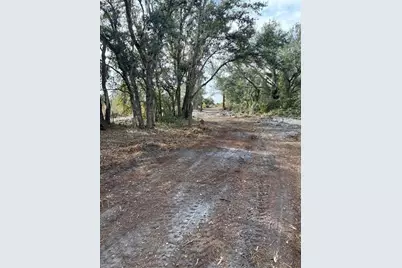 0 NW 296th, Okeechobee, FL 34972 - Photo 4