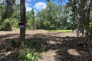 0 NE Katrina Gln, Lake City, FL 32055 - Photo 4