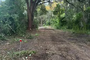 0 NE Katrina Gln, Lake City, FL 32055 - Photo 10