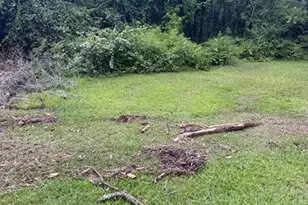 0 NE Katrina Gln, Lake City, FL 32055 - Photo 22