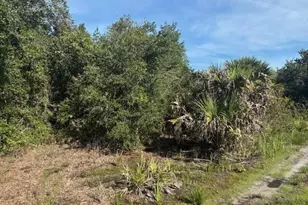 0 NW 304th St, Okeechobee, FL 34972 - Photo 2