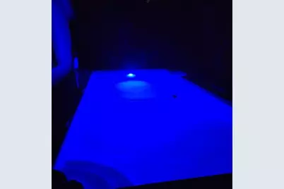 3508  Wildflower Dr, Coral Springs, FL 33065 - Photo 48