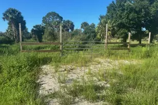 19216 NW 300th St, Okeechobee, FL 34972 - Photo 2