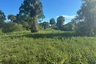 19216 NW 300th St, Okeechobee, FL 34972 - Photo 4