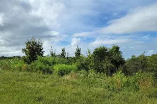 17275 NW 260th St, Okeechobee, FL 34972 - Photo 2