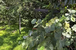 2109 Pinehurst Dr, West Palm Beach, FL 33407 - Photo 22