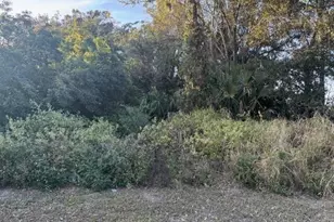 0 NE 13th Ave, Okeechobee, FL 34972 - Photo 2