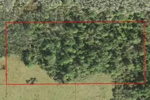 0 Holopaw Groves Rd, Saint Cloud, FL 34772 - Photo 2