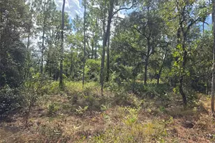 7441 N June Terrace, Citrus Springs, FL 34434 - Photo 4