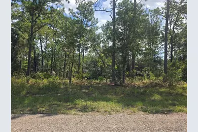 7441 N June Ter, Citrus Springs, FL 34434 - Photo 2