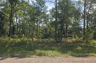 7441 N June Terrace, Citrus Springs, FL 34434 - Photo 2