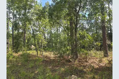 7441 N June Ter, Citrus Springs, FL 34434 - Photo 6