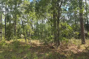 7441 N June Terrace, Citrus Springs, FL 34434 - Photo 6