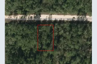 0 W Basford St, Interlachen, FL 32148 - Photo 2