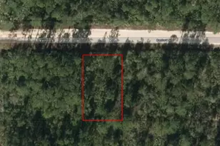 0 W Basford St, Interlachen, FL 32148 - Photo 2