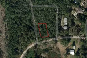 0 Oregon St, Interlachen, FL 32148 - Photo 2