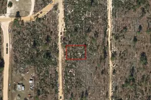 214 Marion Trail, Interlachen, FL 32148 - Photo 2